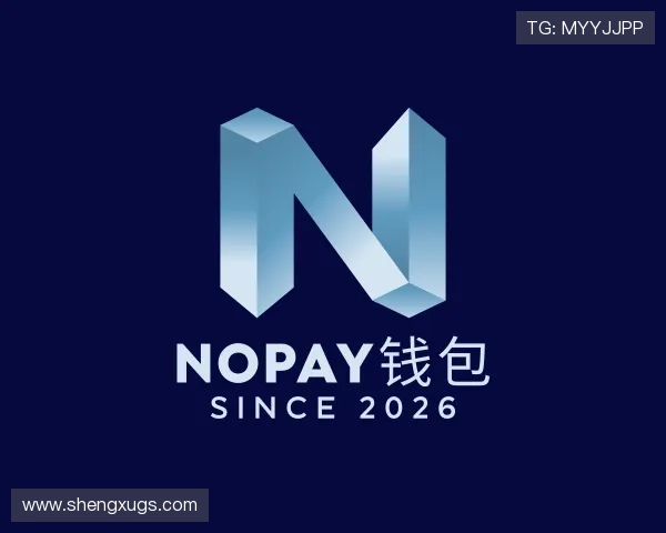 介绍NOPAY钱包