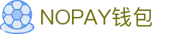 NOPAY钱包 - 数字钱包支付平台|安全便捷的移动支付